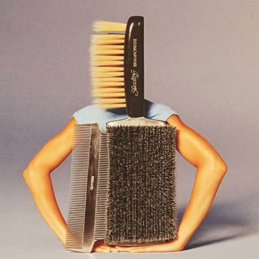 A slicker brush and grooming comb